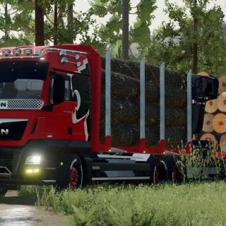 Man Tgx Forest Special V Ls Mod Ls Mods