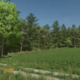 Custom Tree Textures (Prefab) v1.0.0.0 LS22 Mod / LS25 Mods
